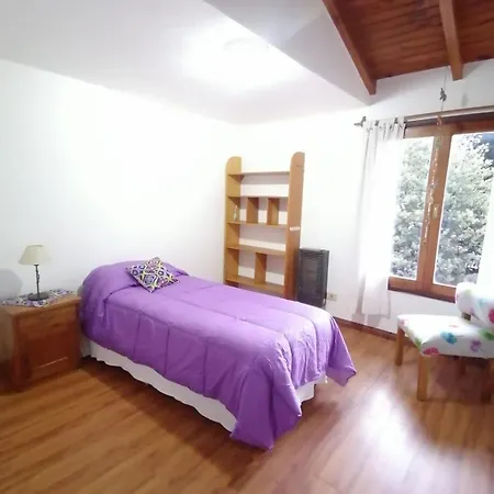 Calido Departamento Centrico En San Martin De Los Andes Exterior photo